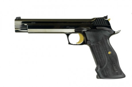 Qué os parecen las nuevas Sig de 6 pulgadas??

He visto que hay 2 modelos y que están en color plata y 01