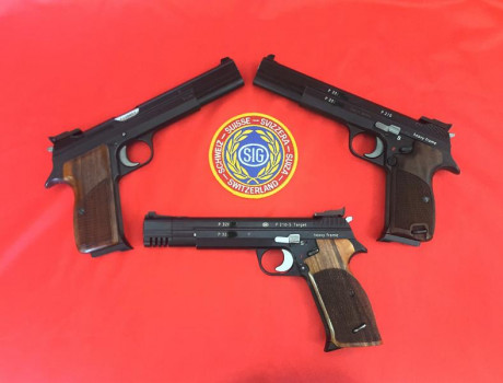 Qué os parecen las nuevas Sig de 6 pulgadas??

He visto que hay 2 modelos y que están en color plata y 40