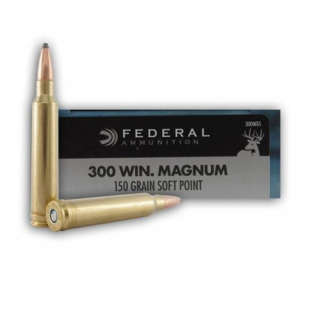 Tengo un rifle de cerrojo en calibre 300wm y estoy buscando puntas que funcionen bien pero que no tengan 60