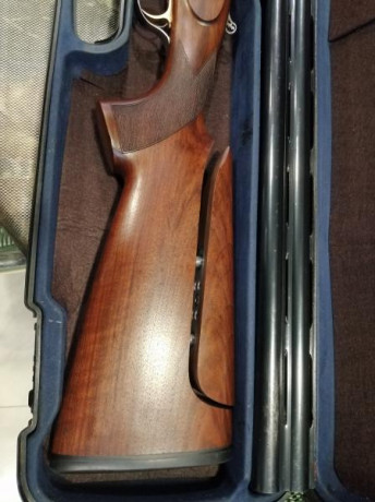 Se cambia por rifle de mi interés y similar precio de nuevo y estado que mi escopeta, incorpora culata 12