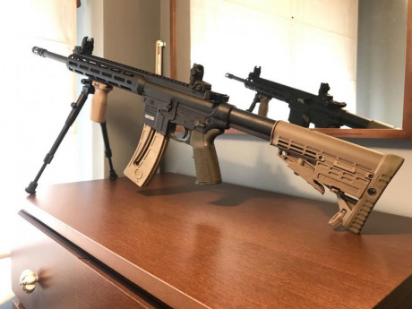 Cambio Smith&Wesson mp15 22lr por 9 mm precision. Muchos extras, muy poco uso, tiene aparte todas 100