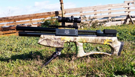 https://fxairguns.com/rifles/the-maverick/

Doble regulador, habrá que ver la fiabilidad a medio plazo. 170