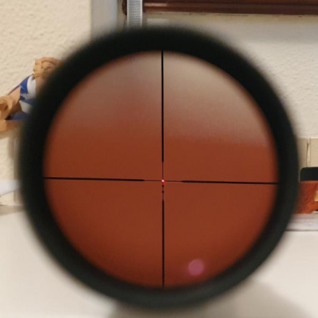 Vendo por no usar, visor Leupold VX6 2-12x42 CDS Retícula Firedot (punto rojo iluminado) LR Duplex 

Está 01