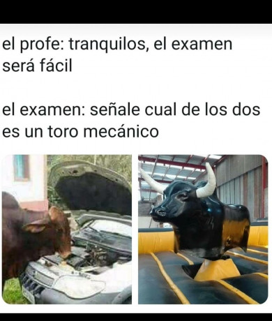 ¡Muy buenas a todos!

Estaba dando un paseo por el foro, cuando me he dado cuenta de que no había un hilo 20