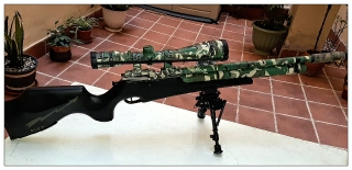 Hola a todos, se Vende una carabina Onix scout 5,5 y una pistola Onix Sport calibres 4,5 y 5,5, es de 10