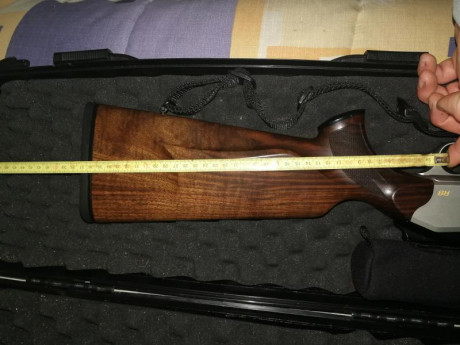 Buenas noches 
Estoy en la decisión de elegir entre Merkel helix en madera o blaser r8 también n madera 41