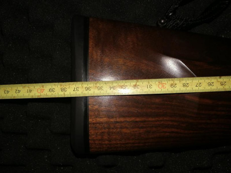 Buenas noches 
Estoy en la decisión de elegir entre Merkel helix en madera o blaser r8 también n madera 40