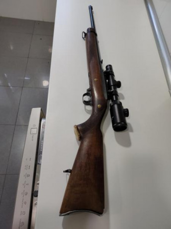 hola alguien sabria decirme si ha este rifle le sirve la culata del modelo 10-22lr 80