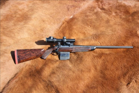 Buenas noches 
Estoy en la decisión de elegir entre Merkel helix en madera o blaser r8 también n madera 80