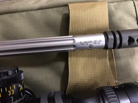 Muy buenas !! Vendo Ar15 DPMS 300 blackout con  uper 222 cañón macht Bergara con juego dies de ambos calibres 10