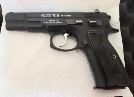 Hola amigos! ya que se muestran tantas armas buenas creo que a los propietarios de una cz 75 se nos tendría 50