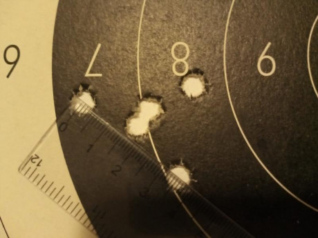 ¿Nos animamos a mostrar blancos de nuestros rifles de caza habituales? Con la munición que habitualmente 161