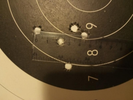 ¿Nos animamos a mostrar blancos de nuestros rifles de caza habituales? Con la munición que habitualmente 160