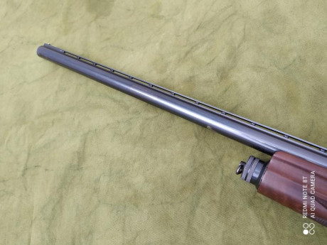 Saludos
Vendo Browning Auto 5 12/70 de 1962 en buen estado.

El guardamanos es nuevo y la culata ha sido 10