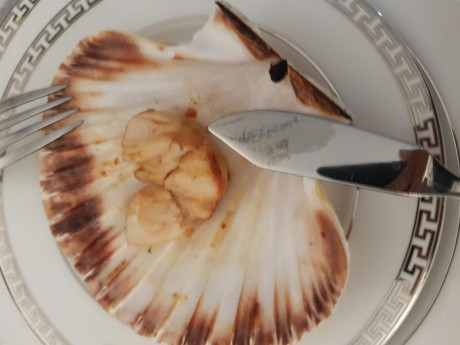Hoy para comer acelgas hervidas y chuletón de vaca gallega vieja con seis semanas de maduración en cámara 22