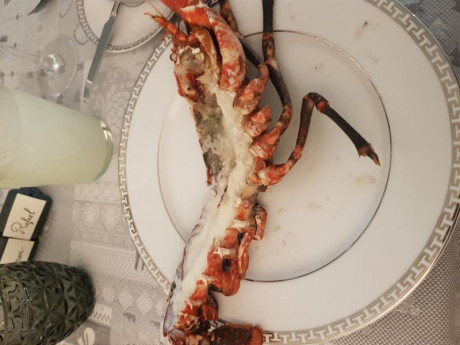 Hoy para comer acelgas hervidas y chuletón de vaca gallega vieja con seis semanas de maduración en cámara 71