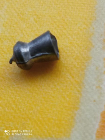 Es la primera vez que uso de pellets Gamo, me regalaron unas cajas en 5.5, Match y Hunter y como siempre 00