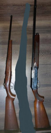 Vendo lamber semiautomatica  por falta de espacio 
Pontevedra galicia 
100€ 
Vendo onena 500 22lr con 00
