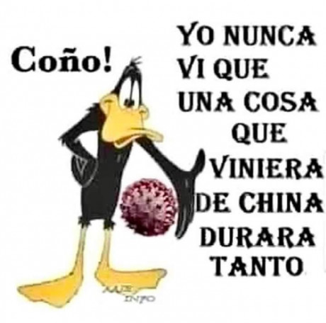 ¡Muy buenas a todos!

Estaba dando un paseo por el foro, cuando me he dado cuenta de que no había un hilo 100