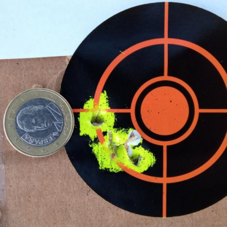 Muy buenas.
Hoy he hecho una sesión con la norica Dragón special con visor gamo 3-9 x 40 a unos 25 metros.
Todo 61