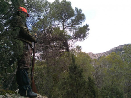  Amigos, viendo que hay interés general en la práctica de la caza con armas de avancarga, abrimos este 100