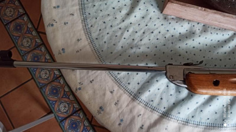 Hola, me han dado una carabina antigua, es una flecha modelo 14 y esta en pesimas condiciones, el cañon 81