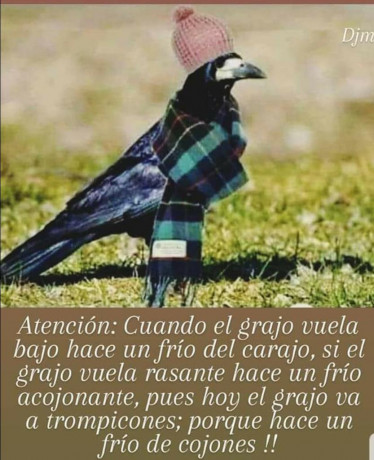 ¡Muy buenas a todos!

Estaba dando un paseo por el foro, cuando me he dado cuenta de que no había un hilo 130