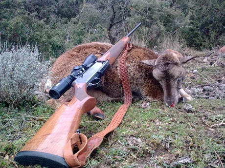 Se que las ultimas series de estos rifles fueron el modelo Safari. Tambien se que los ultimos llevaban 170
