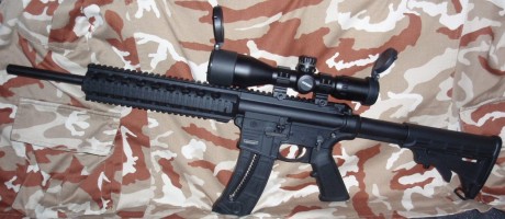 Hola a todos.
Voy a comprar en breve una carabina Smith & Wesson MP15 .22 LR y tenía pensado adquirirla 102