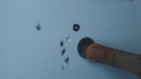 Bueno, para animar el foro un poco, propongo colgar fotos de dianas y arma usada para ello, pudiendo ser 50