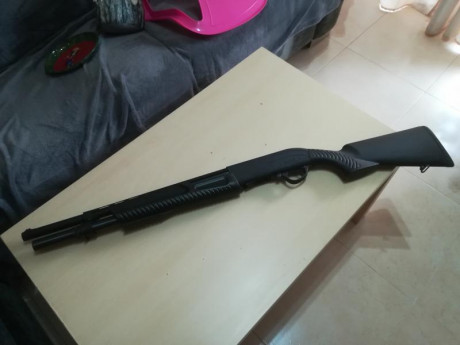 Saludos al foro. Quiero comprar una escopeta para batidas y no acabo de decidirme por un cañón slug liso 80