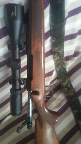 Hola, se vende rifle marli cal.22 mod.60, edicion gatillo dorado, se carga por barilla justo debajo del 00