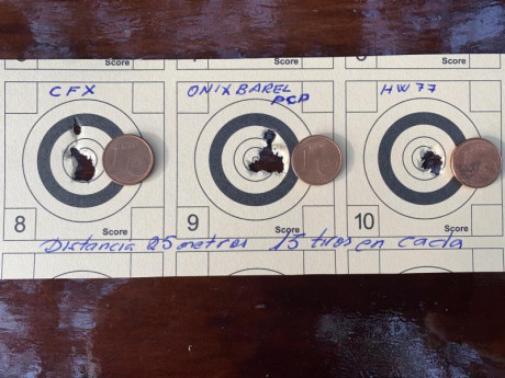 Bueno, para animar el foro un poco, propongo colgar fotos de dianas y arma usada para ello, pudiendo ser 111