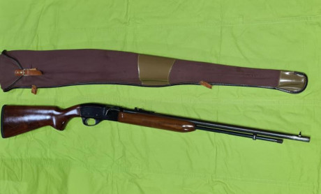 Se vende Remington modelo 552 con cañón de 60 cm. Muy preciso y en muy buen estado. Poco uso. Incluye 02