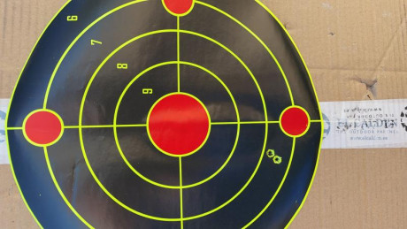 ¿Nos animamos a mostrar blancos de nuestros rifles de caza habituales? Con la munición que habitualmente 30