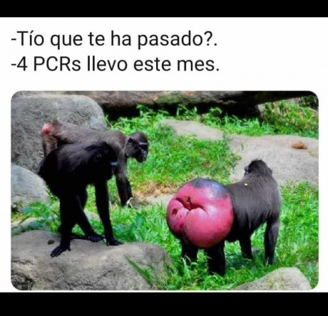 ¡Muy buenas a todos!

Estaba dando un paseo por el foro, cuando me he dado cuenta de que no había un hilo 110