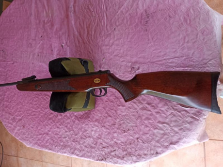 Hola, vendo norica marvic gold calibre 4.5 en perfecto estado, sin una marca de óxido ni rascazos en la 10
