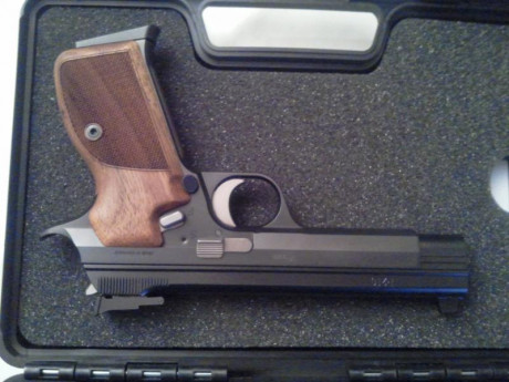 Vendo Pistola Sig Sauer P210 calibre 9mm Luger cañón de 5 pulgadas.
Precisión asegurada. Mejor que cualquier 00
