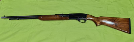 Se vende Remington modelo 552 con cañón de 60 cm. Muy preciso y en muy buen estado. Poco uso. Incluye 01