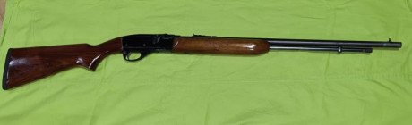 Se vende Remington modelo 552 con cañón de 60 cm. Muy preciso y en muy buen estado. Poco uso. Incluye 00