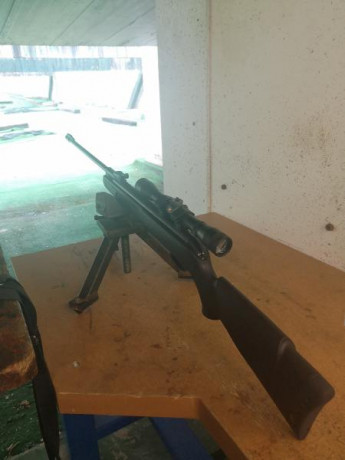Con todo  el dolor de mi corazón tengo que poner en venta mi primera carabina. 

Es mi preciosa GAMO SHADOW 02