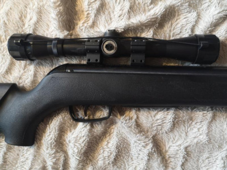 Con todo  el dolor de mi corazón tengo que poner en venta mi primera carabina. 

Es mi preciosa GAMO SHADOW 32