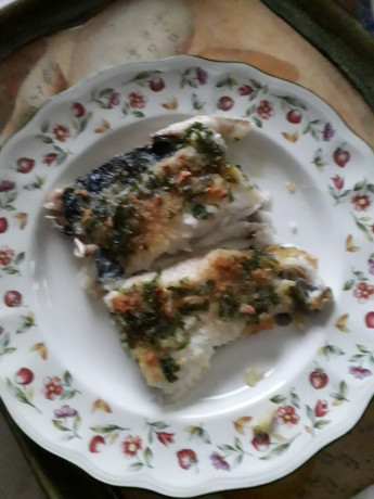 Hoy para comer acelgas hervidas y chuletón de vaca gallega vieja con seis semanas de maduración en cámara 130