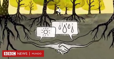 The Economist, la mundialmente prestigiosa revista británica especializada en temas de economía y finanzas 120