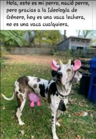 ¡Muy buenas a todos!

Estaba dando un paseo por el foro, cuando me he dado cuenta de que no había un hilo 50