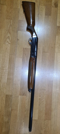 Un compañero del coto me pide que le anuncie su Benelli con 3* fijas y 71cm de cañón.

La escopeta está 00