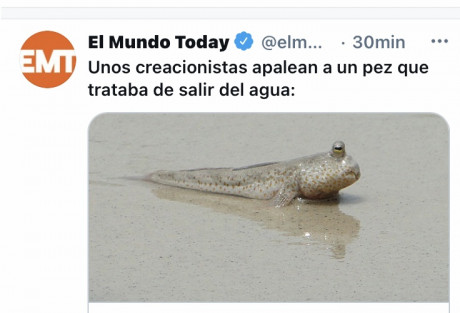 ¡Muy buenas a todos!

Estaba dando un paseo por el foro, cuando me he dado cuenta de que no había un hilo 120