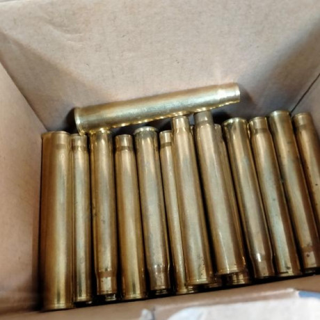 Vendo 68 vainas MEN nuevas, sin disparar, del calibre 8x75RS. A 1,25€ unidad. 00