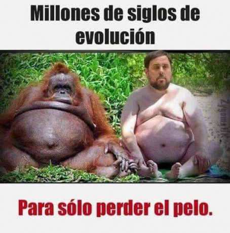 ¡Muy buenas a todos!

Estaba dando un paseo por el foro, cuando me he dado cuenta de que no había un hilo 171