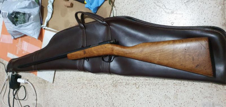 A ver Srs., porfa,  ¿alguien me podría decir que calibre es un anima de 8,2 mm de diámetro? Debe de ser 22